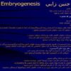 جنين-زايي