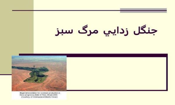 جنگل-زدايي-مرگ-سبز