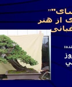 بن-سای-آمیزه-ای-از-هنر-و-باغبانی