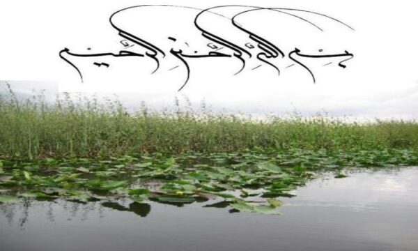 دوی-سرعت