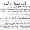 آب-سلول-و-گیاه