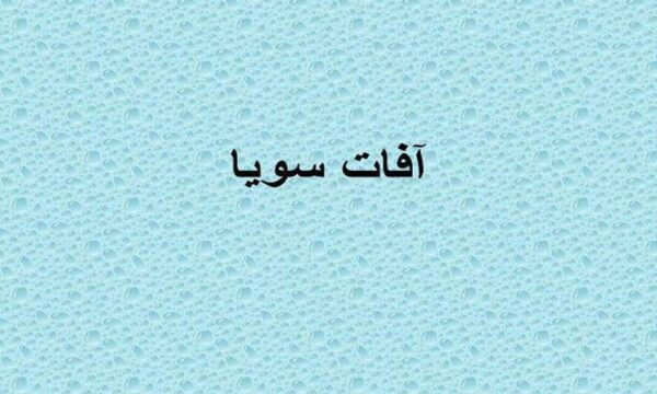آفات-سويا
