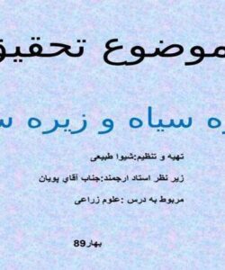 زیره-سیاه-و-زیره-سبز