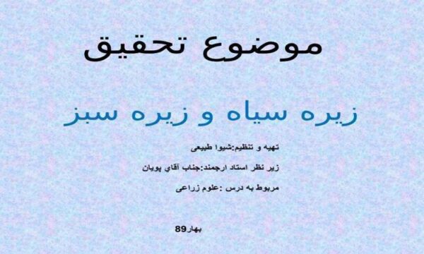 زیره-سیاه-و-زیره-سبز