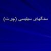 سنگهای-سیلیسی-چرت