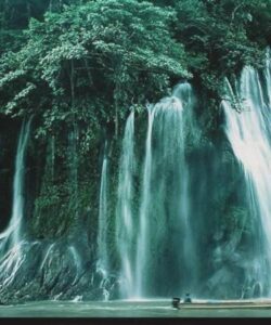 شیرهای-طعمدار-