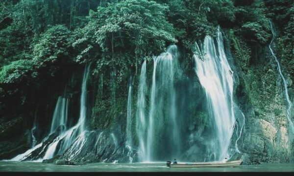 شیرهای-طعمدار-