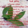 بررسی-عوامل-موثر-برسلامت-جسم-و-روان-شاغلین-زن-در-محیط-کار