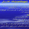 بافت-غضروفی
