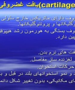 بافت-غضروفی