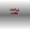 زراعت-غلات
