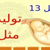 تولید-مثل
