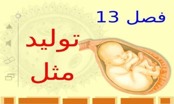 تولید-مثل