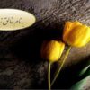 آمارهای-مربوط-به-باروری