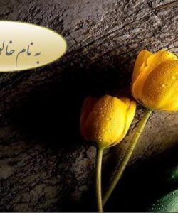 آمارهای-مربوط-به-باروری