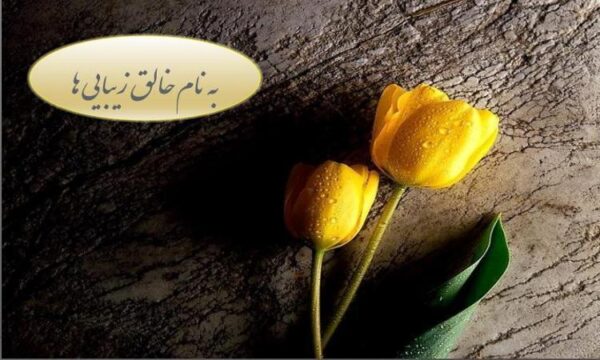 آمارهای-مربوط-به-باروری