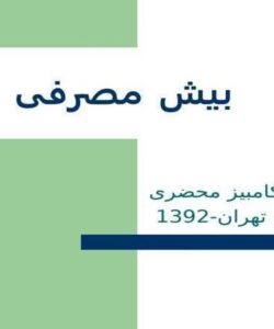 بیش-مصرفی