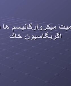 اهميت-ميكروارگانيسم-ها-در-اگريگاسيون-خاك