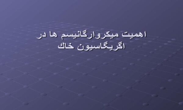 اهميت-ميكروارگانيسم-ها-در-اگريگاسيون-خاك