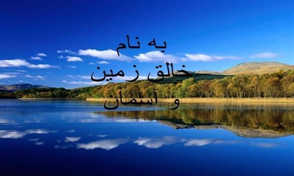 روشهای-نگهداری-مرکبات-بعد-از-برداشت
