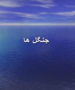 جنگل-ها