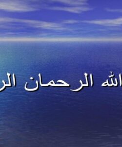 ماشين-هاي-برداشت-چغندر-قند