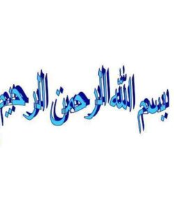 دستورالعمل-های-اجرائی-و-قانون-ارتقاء-بهره-وری-کارکنان-بالینی-نظام-سلامت