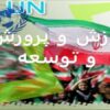 آموزش-و-پرورش-و-توسعه