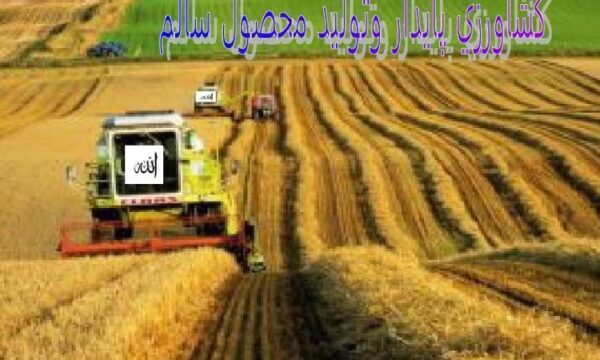 كشاورزي-پايدار-وتوليد-محصول-سالم