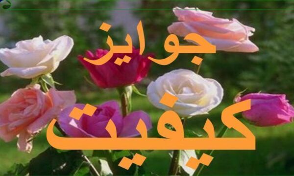 جوائز-کیفیت
