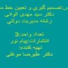 تصميم-گيري-و-تعيين-خط-مشي-دولتي