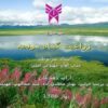 زراعـت-گيـاه-يـونجه