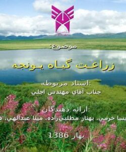 زراعـت-گيـاه-يـونجه