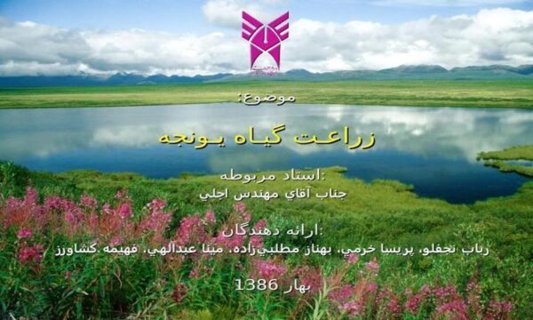 زراعـت-گيـاه-يـونجه