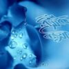 اندازه-گیری-سنجش-و-ارزشیابی-آموزشی