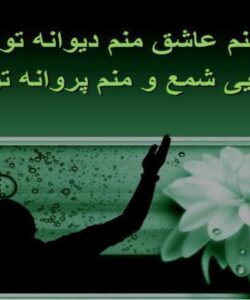 مولا