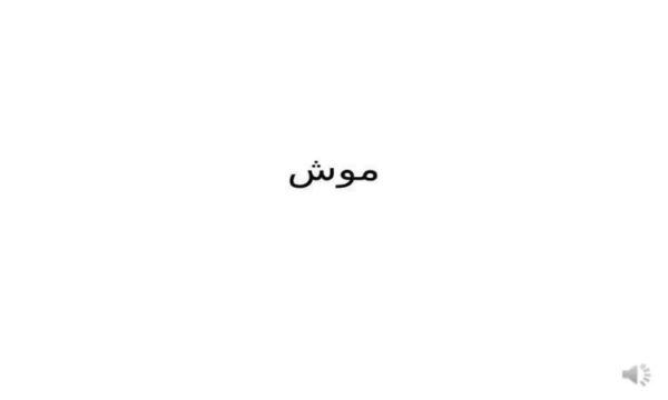 موش