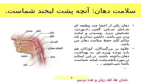 دهان