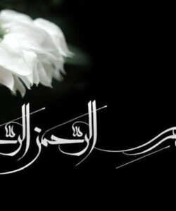 کارگاه-آموزشی-سیاستگذاری-آگاه-از-شواهد