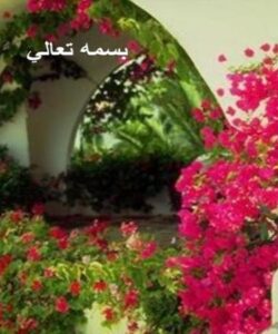 مقايسه-اثر-تك-دوز-كورتيكوستروئيد-با-تجويز-هفتگي-كورتيكوستروئيد-در-نوزادان-پره-ترم-با-پيگيري-يكساله-در-بيمارستانهاي-الزهرا-و-شهيد-بهشتي