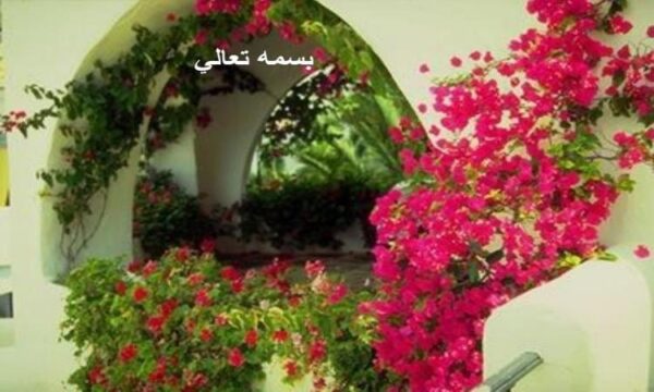 مقايسه-اثر-تك-دوز-كورتيكوستروئيد-با-تجويز-هفتگي-كورتيكوستروئيد-در-نوزادان-پره-ترم-با-پيگيري-يكساله-در-بيمارستانهاي-الزهرا-و-شهيد-بهشتي