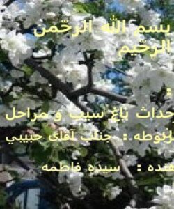 نحوه-احداث-باغ-سیب-و-مراحل-مختلف-تولید-آن
