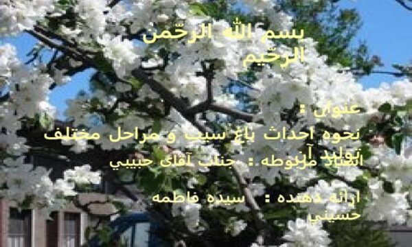 نحوه-احداث-باغ-سیب-و-مراحل-مختلف-تولید-آن