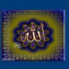 منابع-انسانی-و-چالش-های-اجرای-طرح-های-دورکاری-در-ایران
