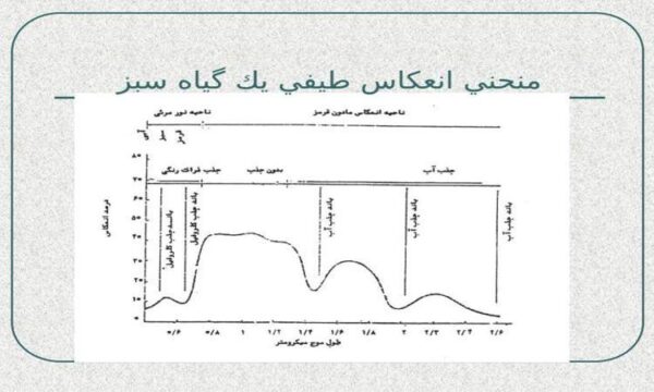 منحني-انعكاس-طيفي-يك-گياه-سبز