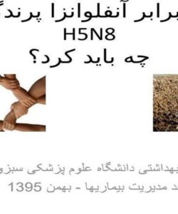 در-برابر-آنفلوانزا-پرندگان-H5N8چه-باید-کرد