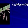 مرغ-بندواش
