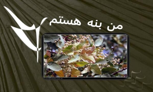 من-بنه-هستم