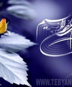 کنترل-بیوژیکی-کپک-سفید-کاهو-با-استفاده-از-سیانو-باکتریها