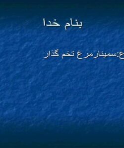 مرغ-تخم-گذار